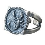 925 Sterling Silver Ring Resizable Scorpio Signet Ring demo